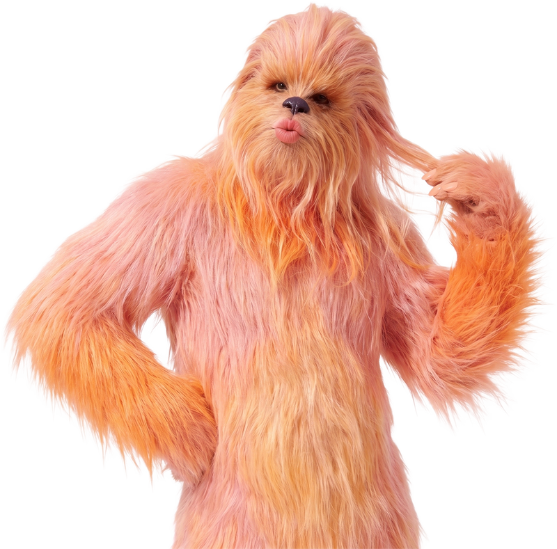 La chewbakette NÜVi droite